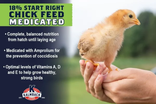 18% All Natural Start Right Chick Crumbles Medicated - 10 lb - Image 2