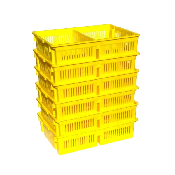Large Chick Basket - 2 Section (2x50 Chicks) - Image 2