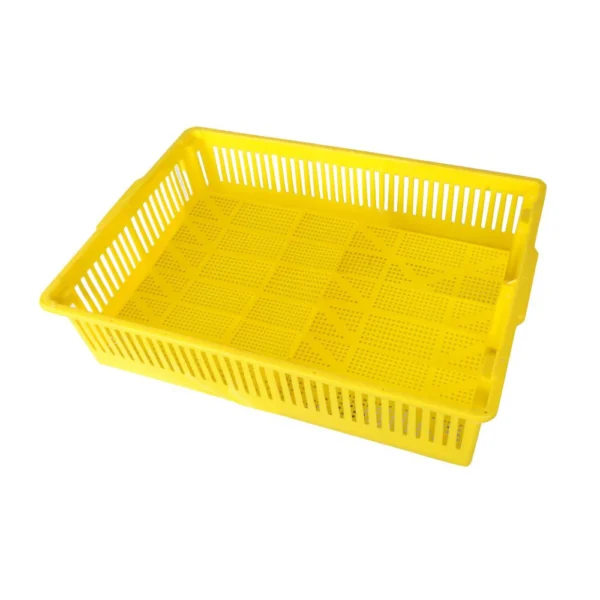 Large Chick Basket (100 Chicks)