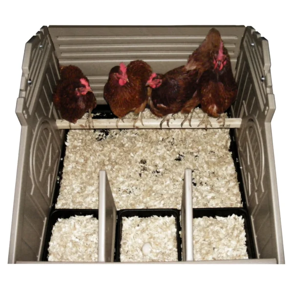 Standard Chicken Coop (4 Bird) - Snaplock by Formex - Image 4