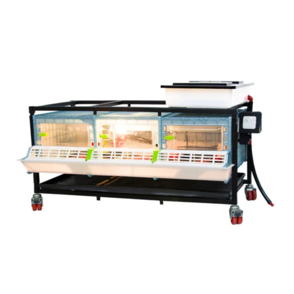 Chick Brooder - 1 Layer H: 9.5" - Image 4