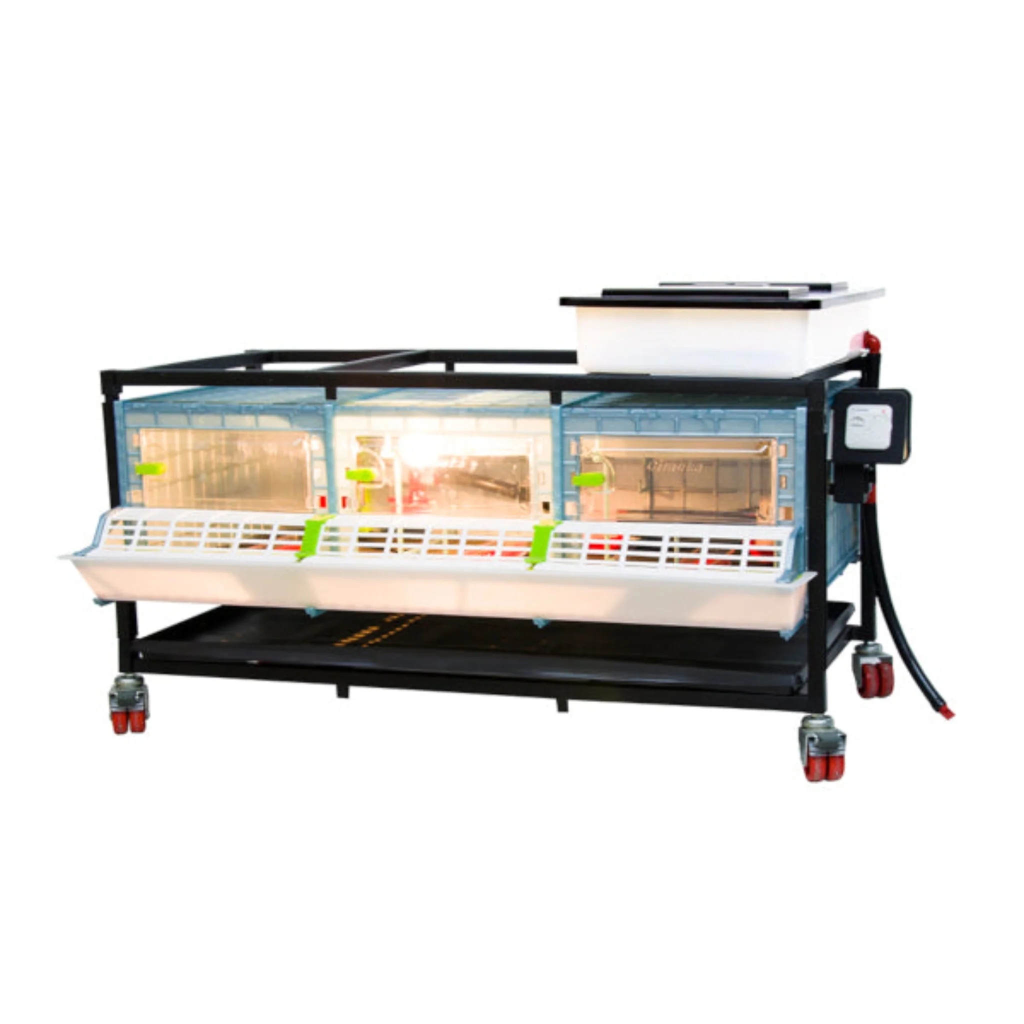 Chick Brooder - 1 Layer H: 9.5" - Image 4