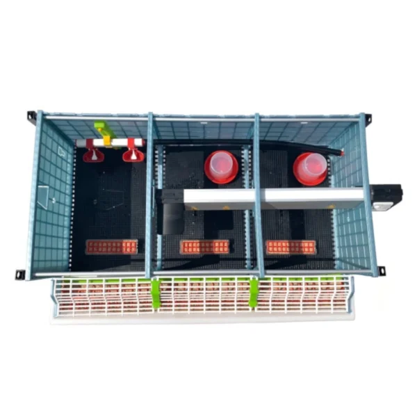 Chick Brooder - 2 Layer H: 9.5" - Image 3