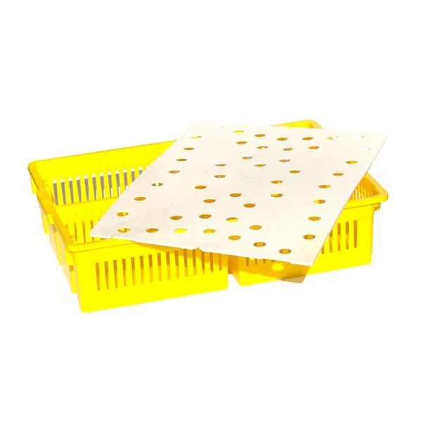 Large Chick Basket - 4 Section (4x25 Chicks) - Image 4