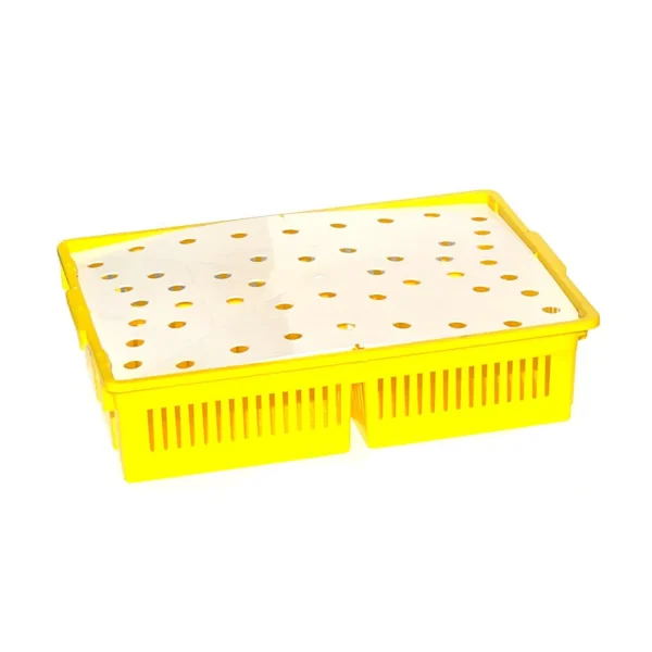 Large Chick Basket - 4 Section (4x25 Chicks) - Image 3