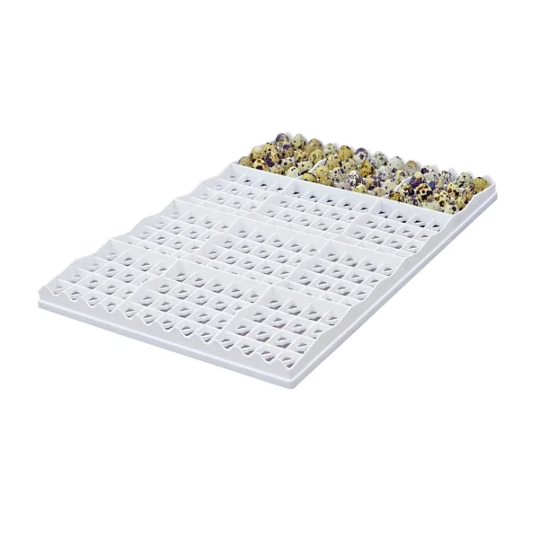 Egg Setter Tray - Quail - 208 Eggs