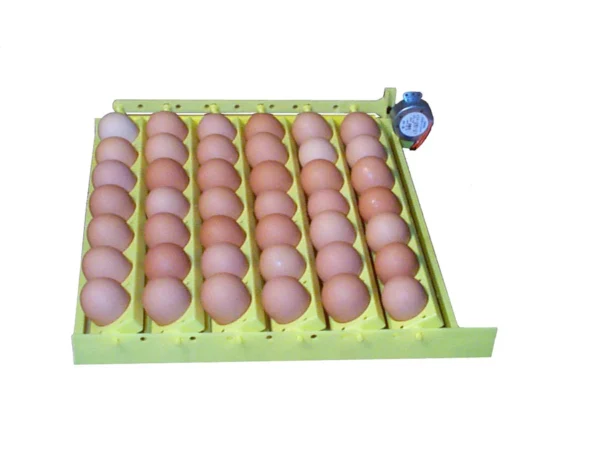 Hova Bator Automatic Egg Turner w/ 6 Universal Egg Racks